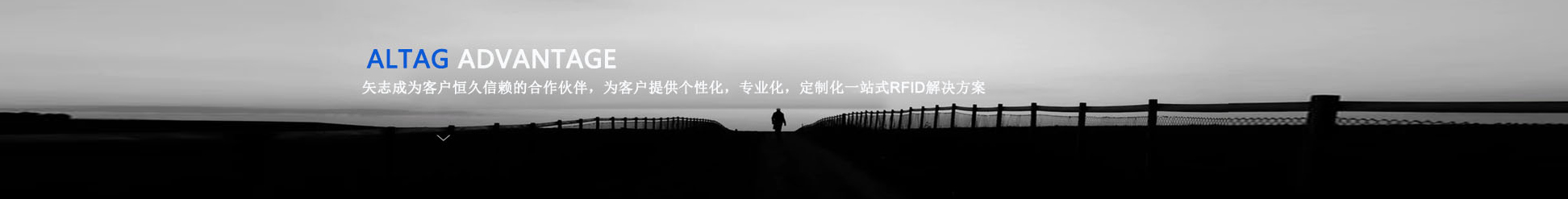 專業(yè)化定制